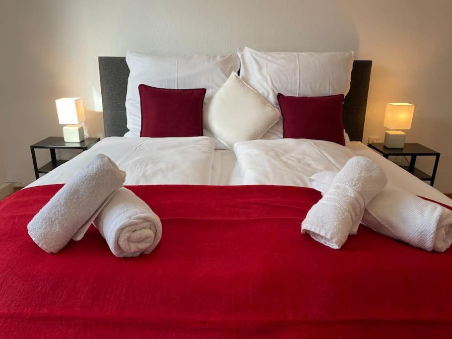 Black Forest Apartment Baden-Baden Esterno foto